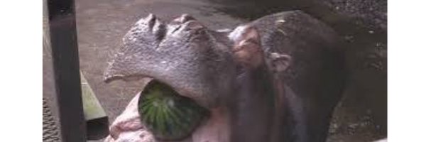 _CALCE_ Profile Banner