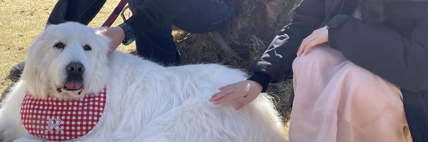 いぬこたつ banner