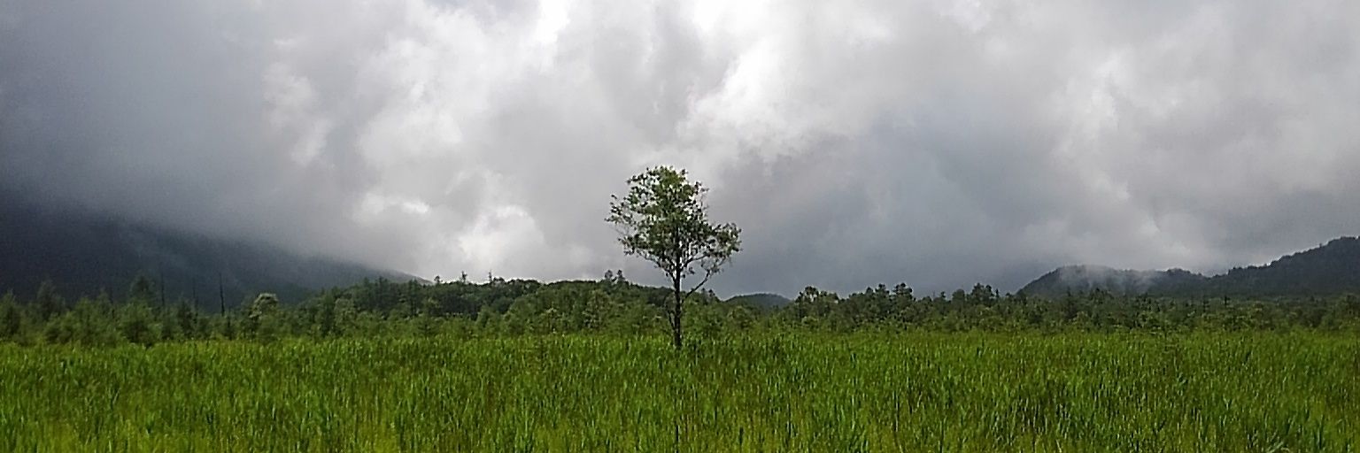 ちまる🥹5/4🎂高橋のあ生誕祭 banner