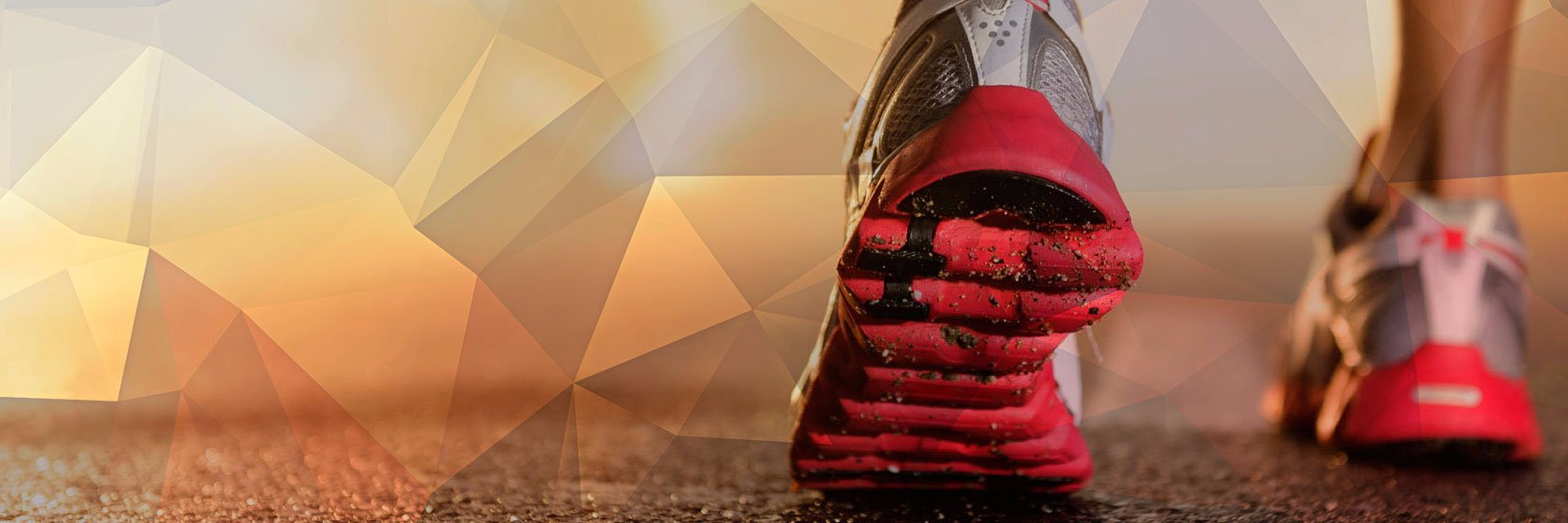 GSL1976's profile banner image