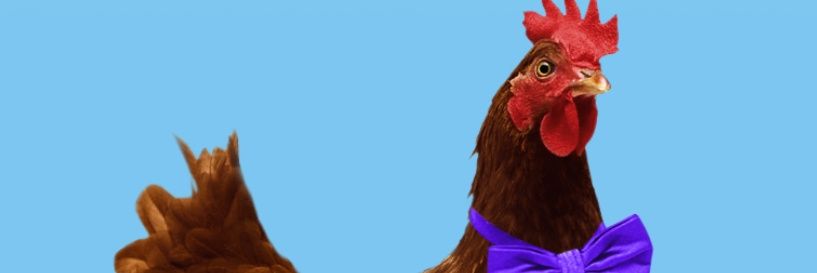 digital🔺Alias (🐓,🧠,🐉)'s banner