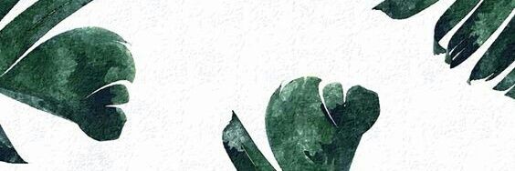 CaroMedOk's profile banner image