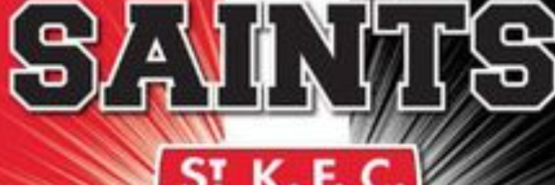 Ashley Greene banner