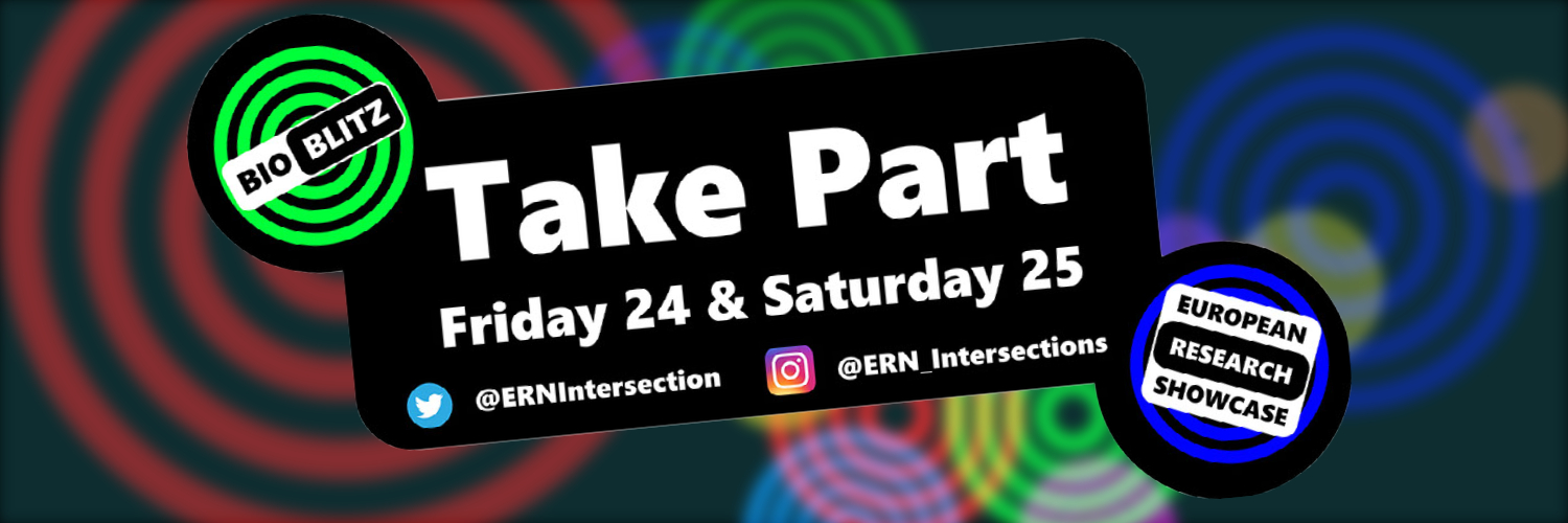 ERNIntersections banner