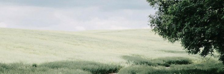 XMithril77's profile banner image