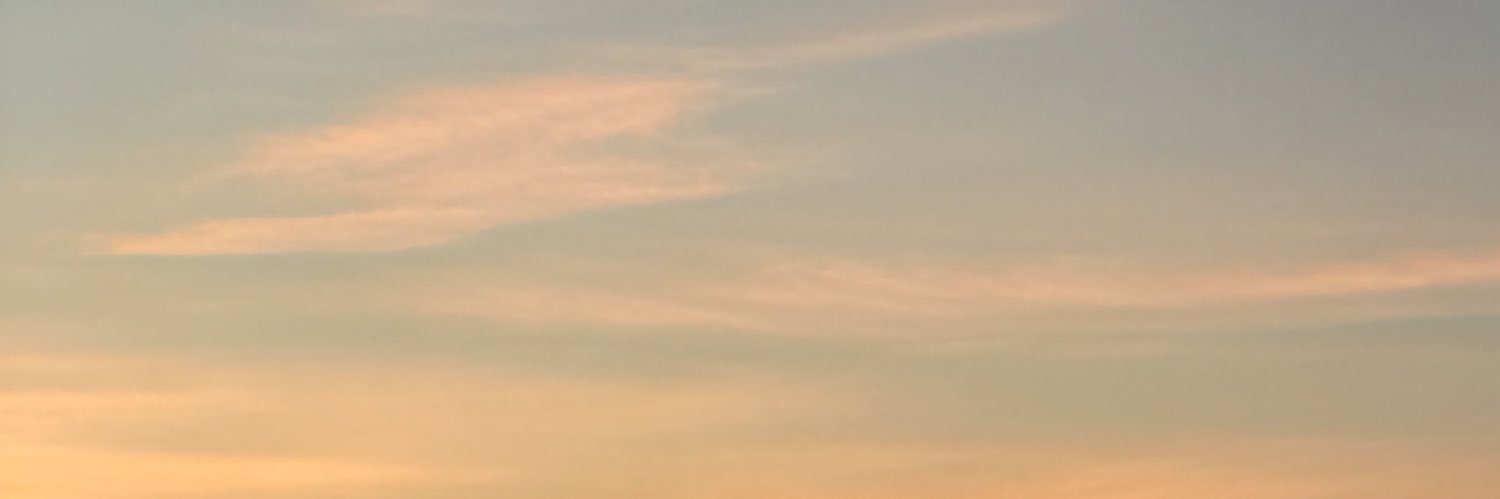 clarissale22's profile banner image