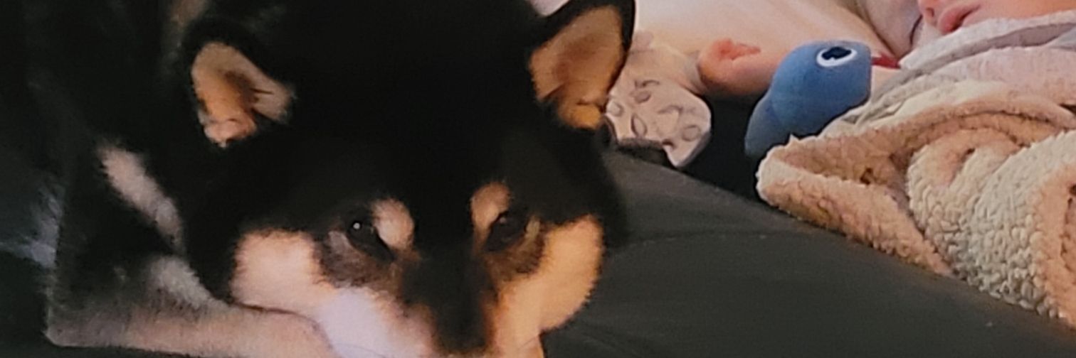 Jonathan_Blouin banner