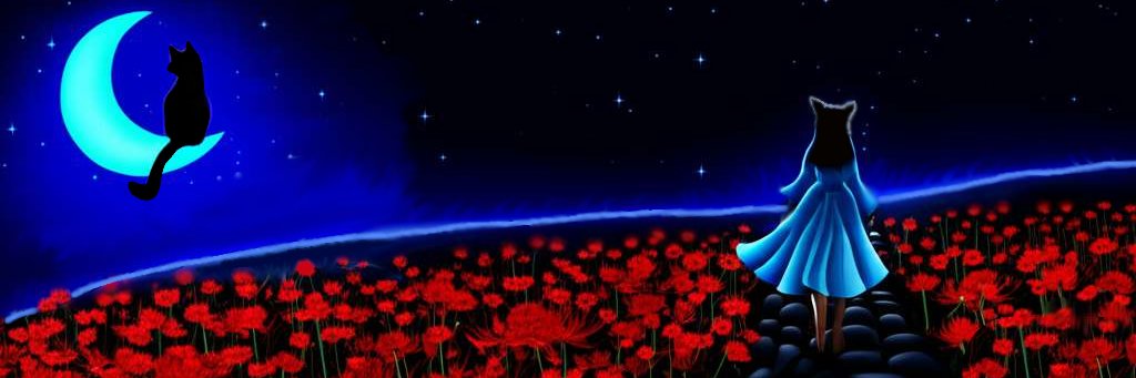 Nyxspell1's profile banner image