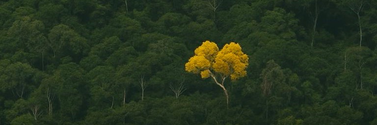 sarashaalan7's profile banner image
