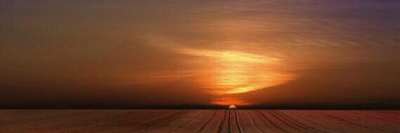 مسك_العنبر🦌 banner