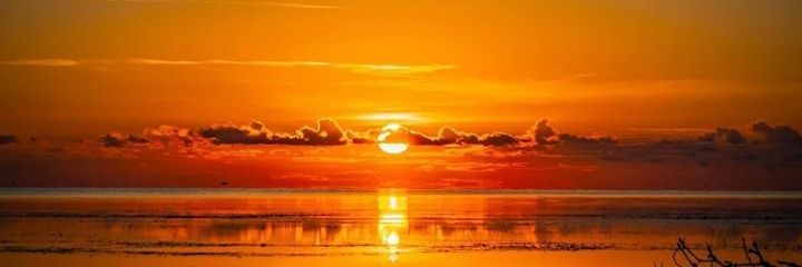 Antytutuu's profile banner image