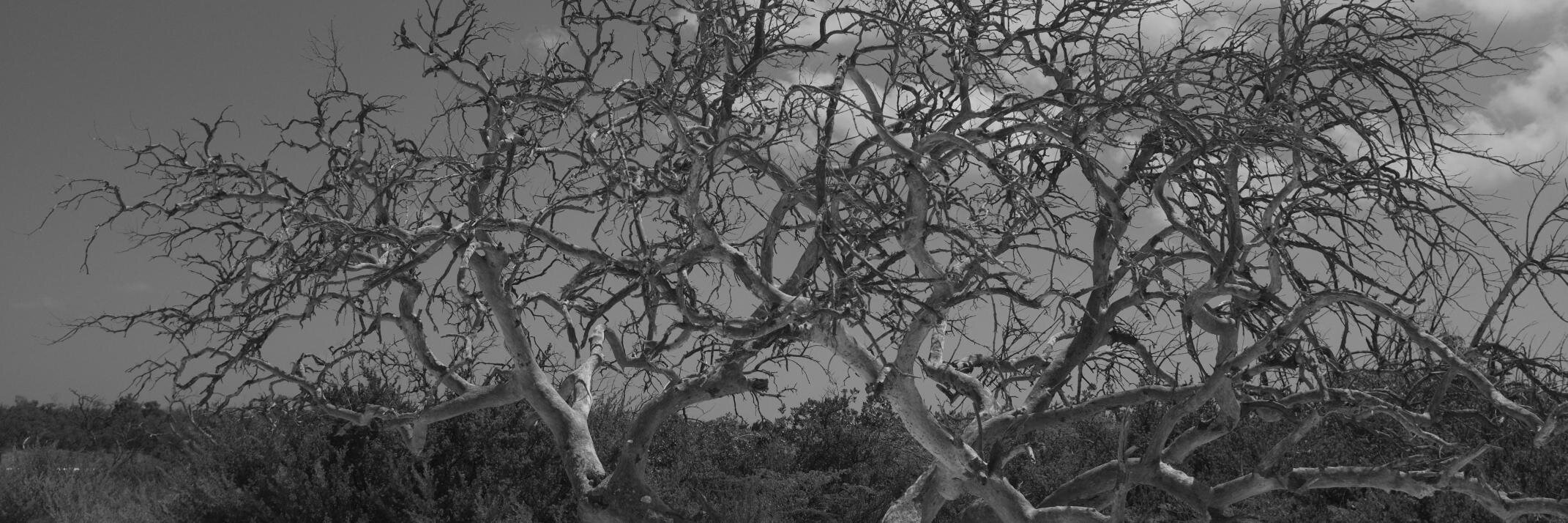 AndrewNoymer's profile banner image