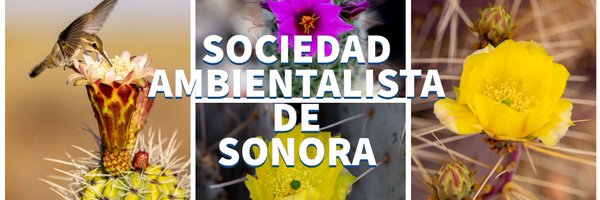 Sociedad Ambientalista de Sonora Profile Banner