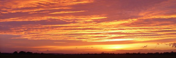 RoostWeather Profile Banner