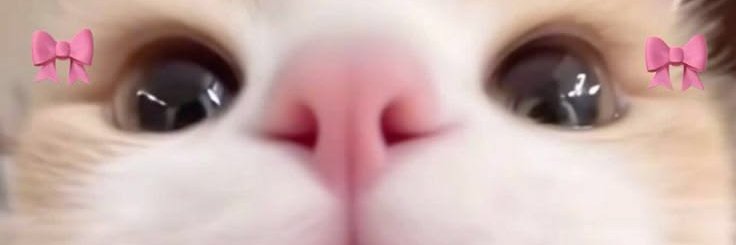 BlueEyedCobra's profile banner image