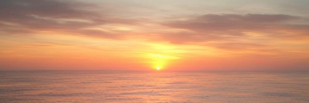 Felix22867147's profile banner image