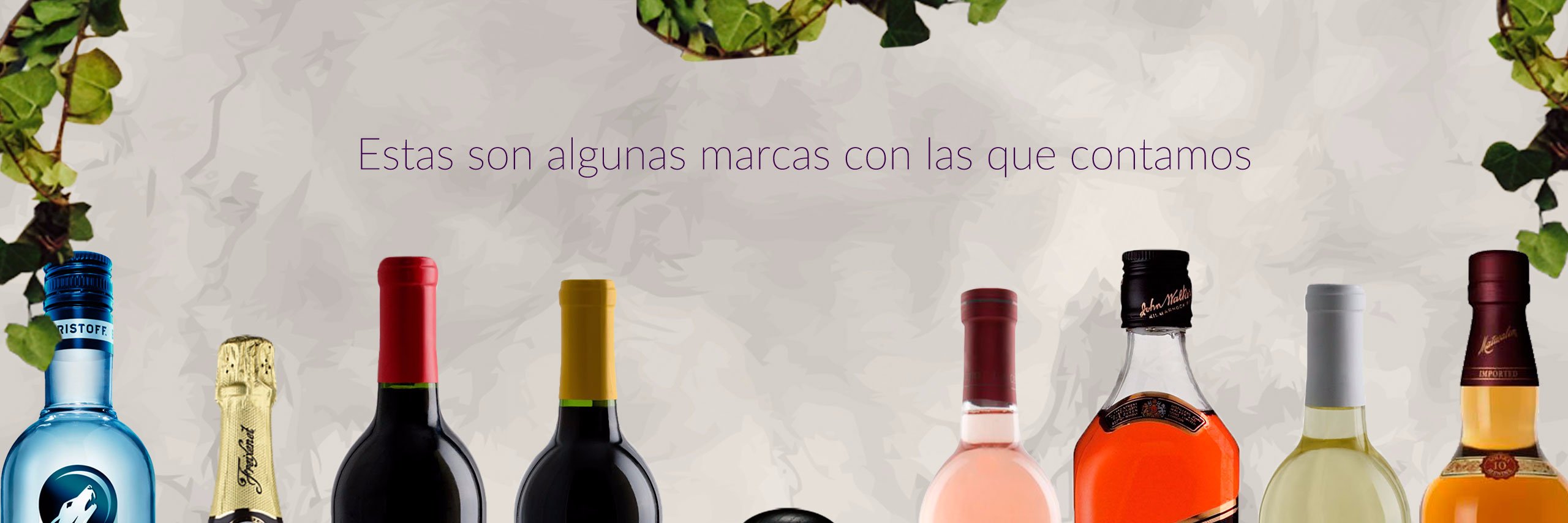 EventosBacus's profile banner image
