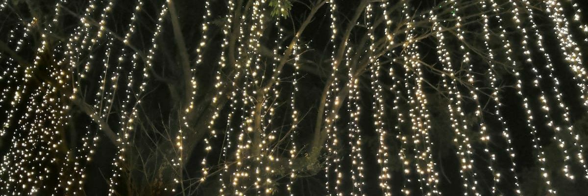 ShalyAvendao's profile banner image