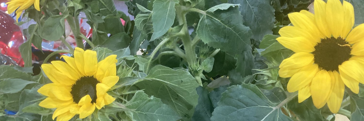 CorneliaFun's profile banner image