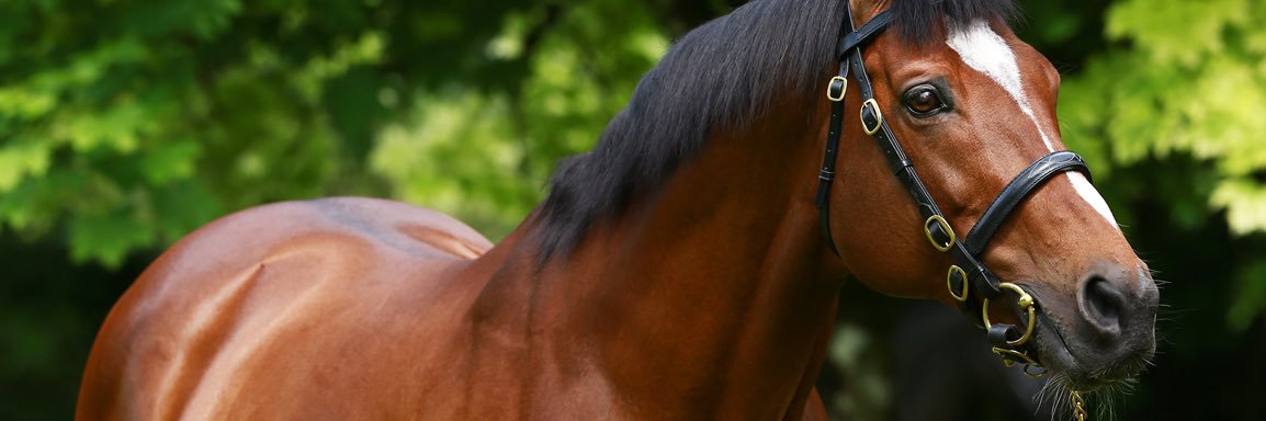 friendly tipster banner