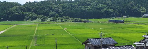 nototetsu Profile Banner
