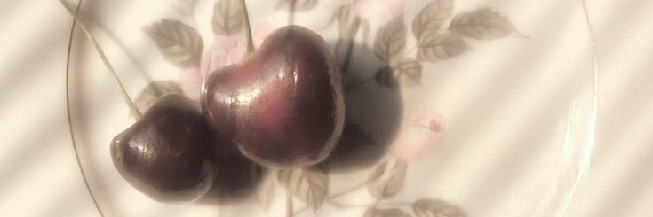 ️ ️ banner