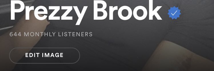 PrezzyBrook's profile banner image