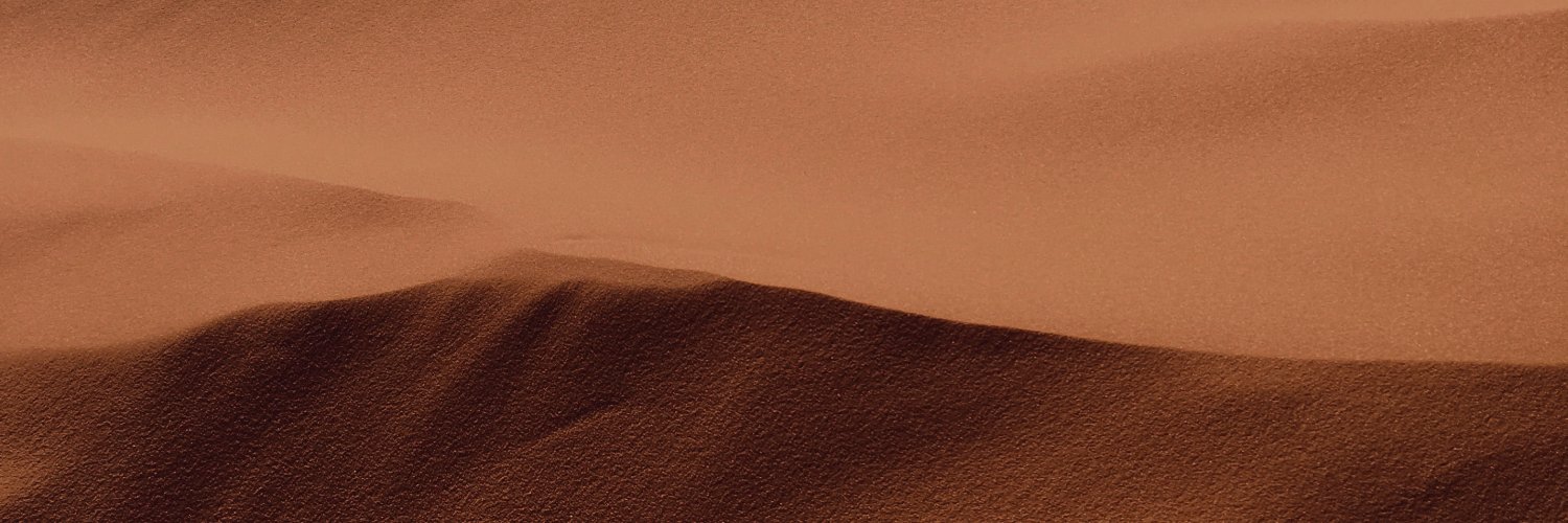 Pyramid City banner