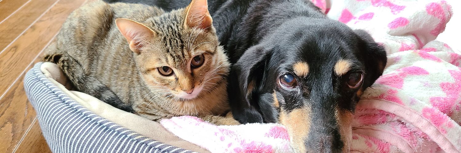 ジンダイコン(趣味VT) banner