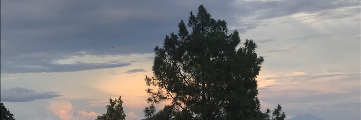 miniadolff's profile banner image