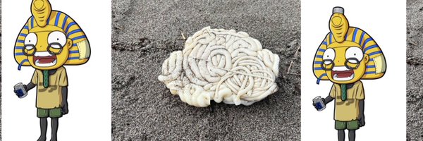 kingdom0830 Profile Banner