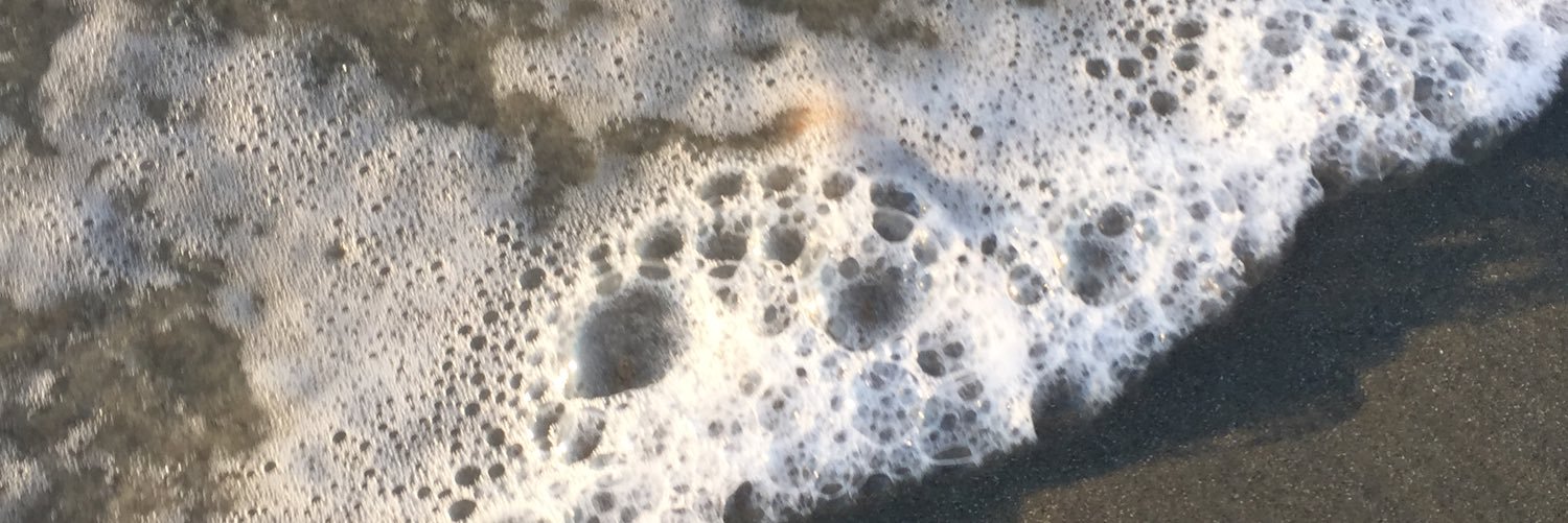 sksauer1's profile banner image