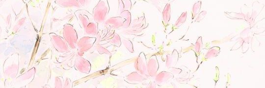 marcy 🌸 | #DrathosSMP banner