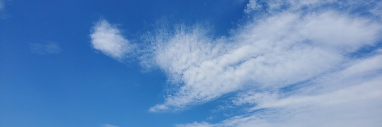 sodemusubi's profile banner image