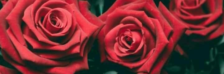agus_sanch's profile banner image