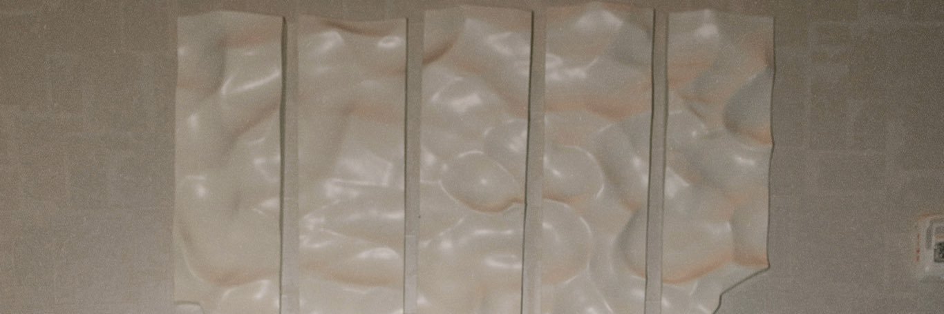 Princess_Ani0's profile banner image
