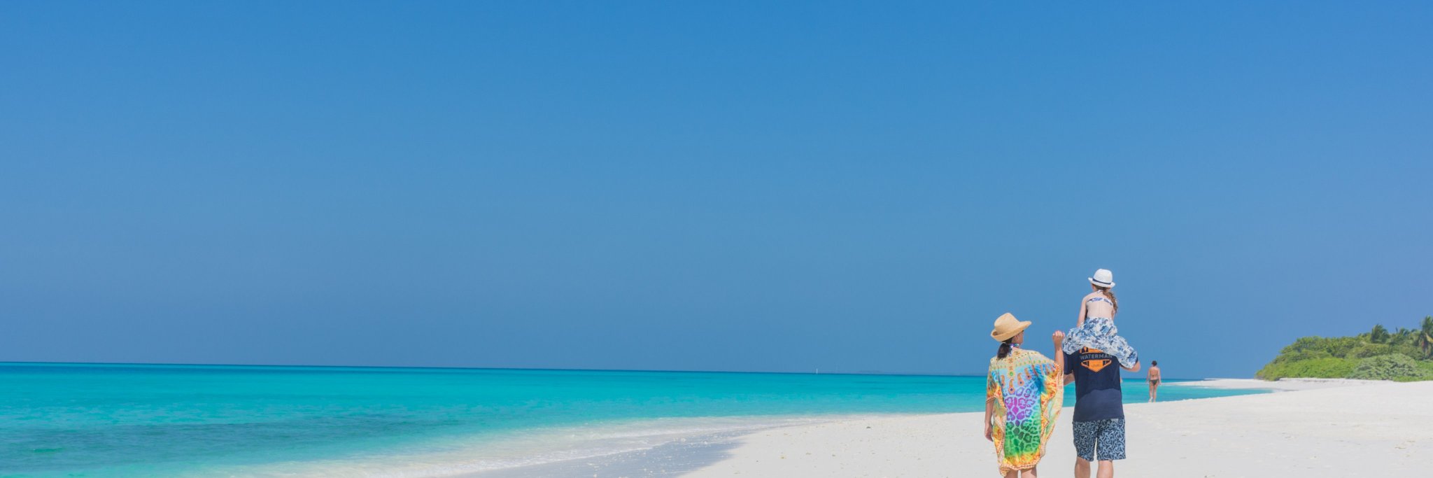 Timothy Munro banner