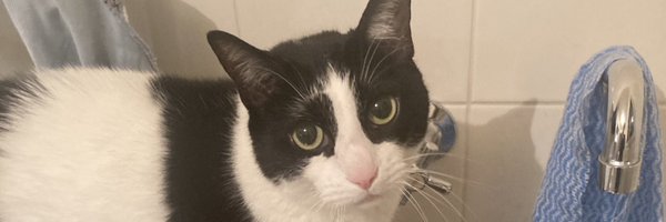 GracialChasm Profile Banner