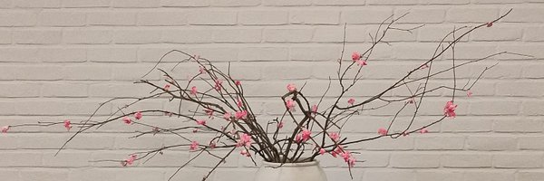 Alexturnoner Profile Banner