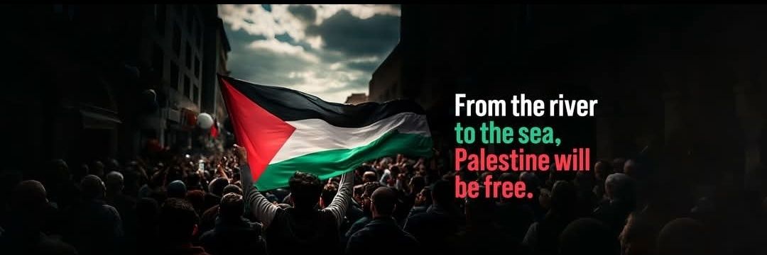 Ninja 🥷💹 banner