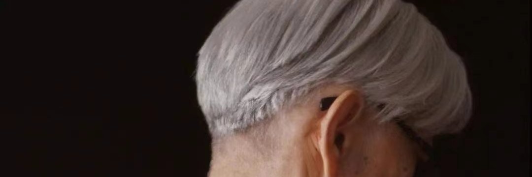 🇨🇳浅怼低智精日精美精西方🐶(🌸, 🌿） banner