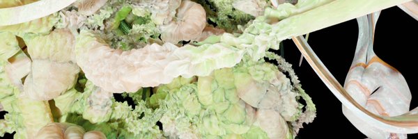 Sanj0nas Profile Banner