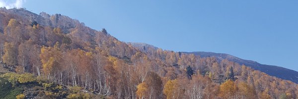 RakhtanQ Profile Banner