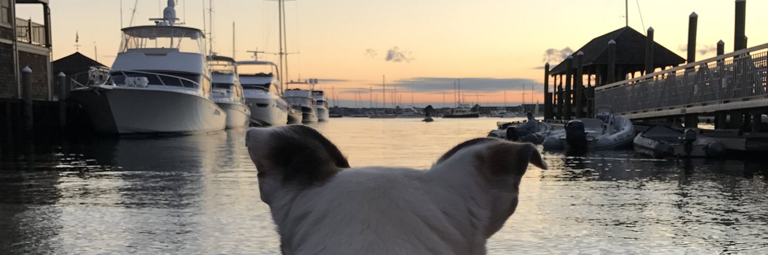 orangebooknm's profile banner image