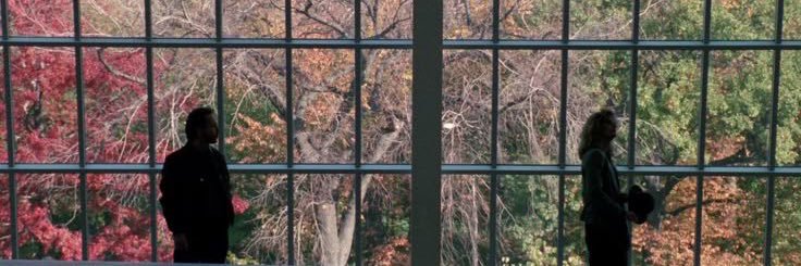 rodrigo 🇵🇸 banner