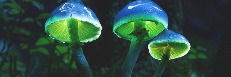 StockMstock's profile banner image