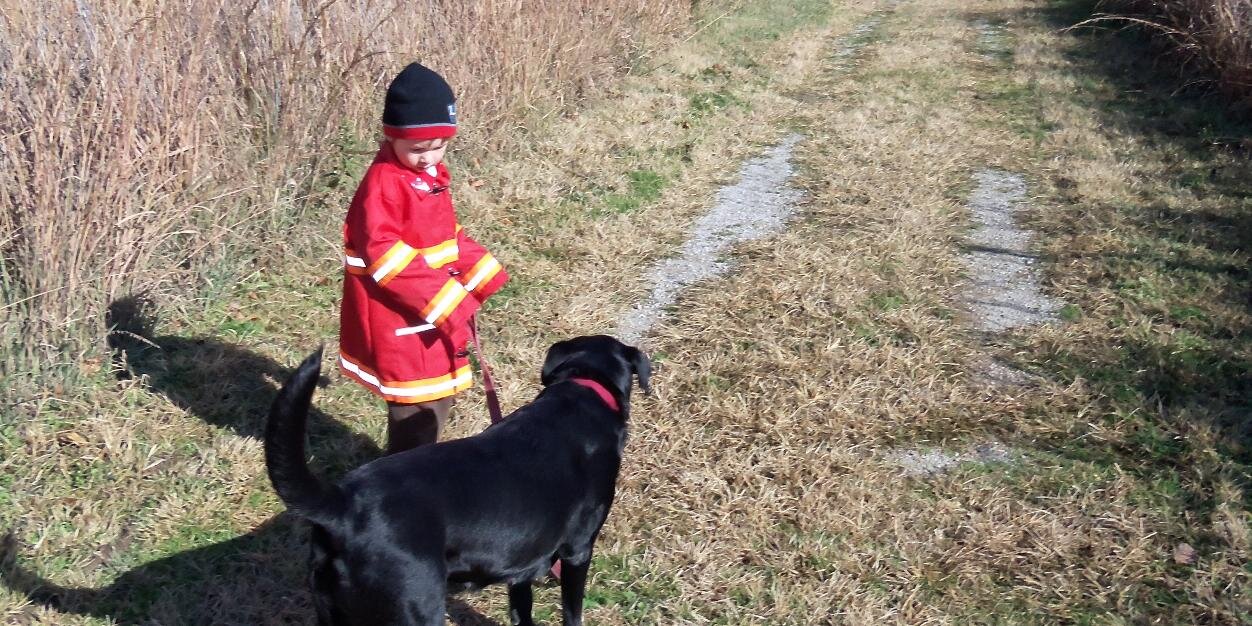 E. Brady Hansel banner