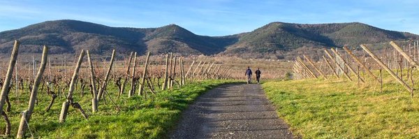 jodynic Profile Banner