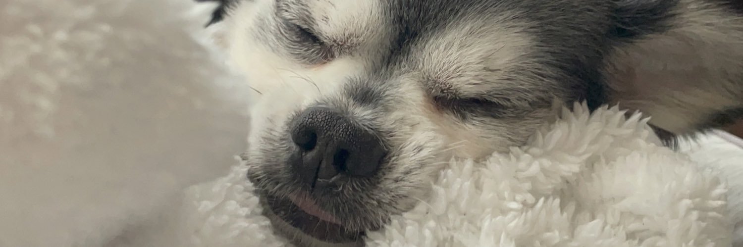 _RNKppp's profile banner image