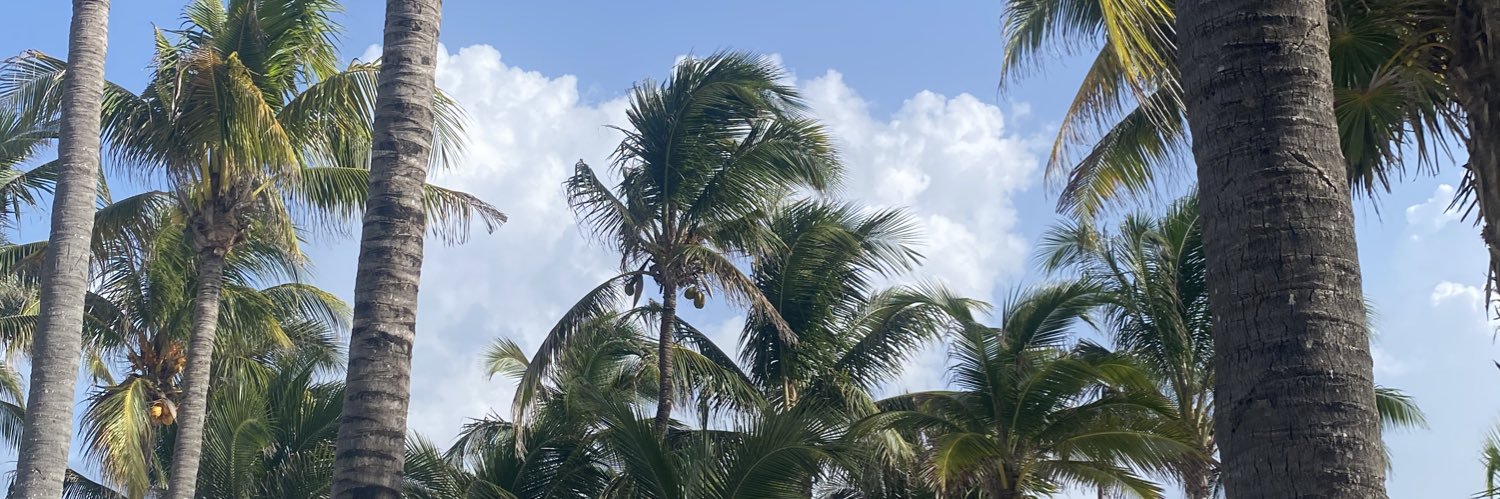 corinnemargel's profile banner image